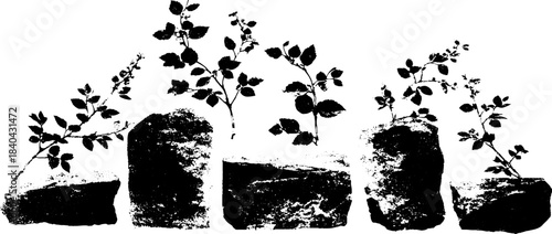Black and white stencil of undergrowth vines and rocks - nature design for art projects