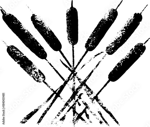 Monochrome stencil illustration of underwater reeds for nature art design