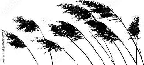 Black and white stencil of frost crystals for winter design and decoration