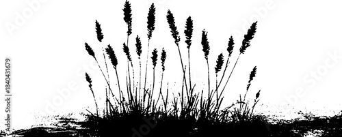 Black and white stencil of frost crystals - winter design for posters