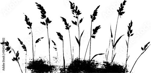 Black and white stencil illustration of tall grass in warm season for nature-themed designs