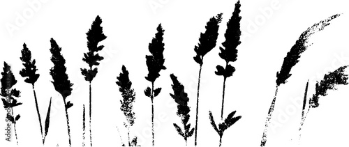 Black and white stencil art of tall meadow grasses silhouette for nature design