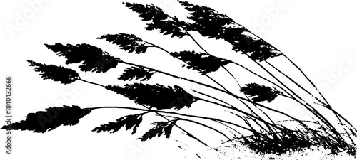 Black and white stencil illustration of wind-blown tall meadow grass waves
