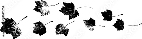 Whirling leaf litter in black and white stencil art for nature-inspired design