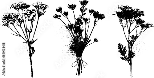 Black and white stencil art of wild meadow herbs for botanical decor