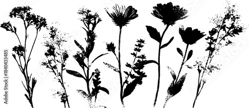 Monochrome wildflower stencil art design for nature-inspired decor