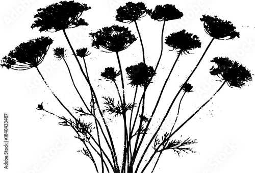 Black and white stencil of wildflower stems for botanical design and decoration