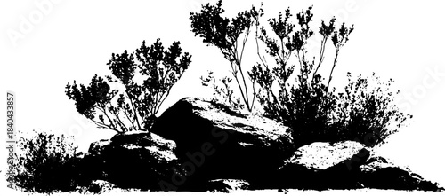 Windswept alpine shrub stencil illustration for urban art and design
