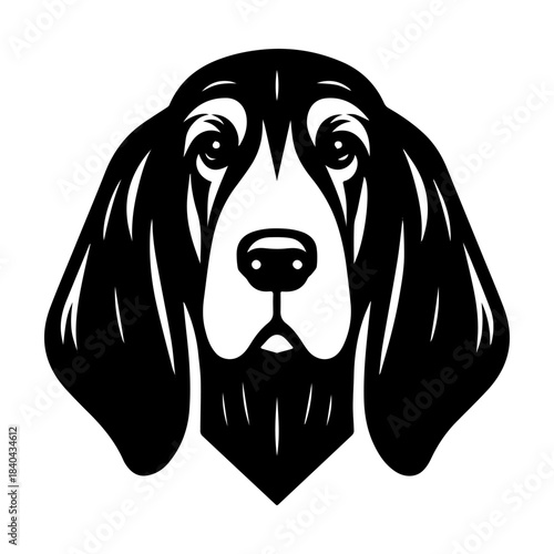 Basset Hound Portrait: A Detailed Black and White Illustration.