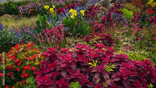 Vibrant flower garden showcasing diverse blooms and lush foliage in full spring splendor