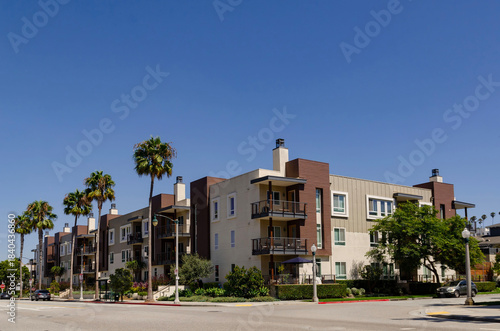 California Los Angeles area Rlya Vista August 18, 2025 well-maintained streets with beautiful modern houses palm trees and flowering trees