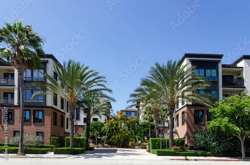 California Los Angeles area Rlya Vista August 18, 2025 well-maintained streets with beautiful modern houses palm trees and flowering trees
