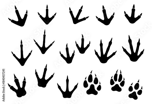 Collection of animal tracks silhouettes including bird, reptile, dinosaur and mammal paw prints