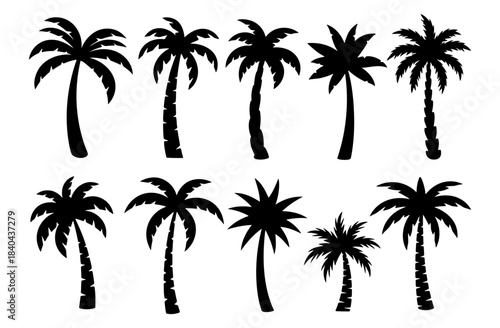 Palm tree silhouette set, a collection of tropical trees in various black graphic styles