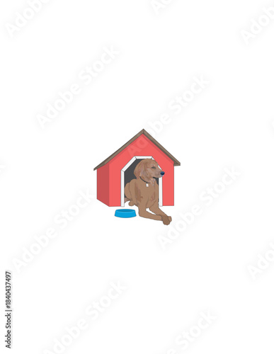 golden retriever dog in doghouse