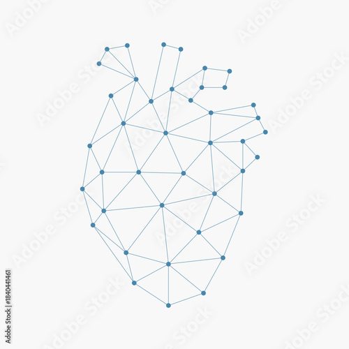 Polygonal Human Heart Network – Vector Illustration