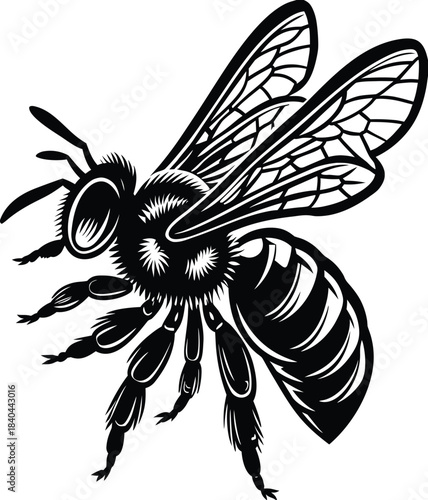 Black silhouette of a honeybee in flight on white background insect animal vector illustration EPS file download.

