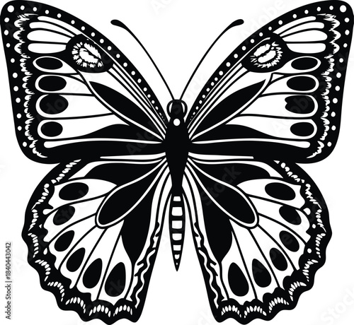 Black and white detailed butterfly silhouette vector graphic insect.