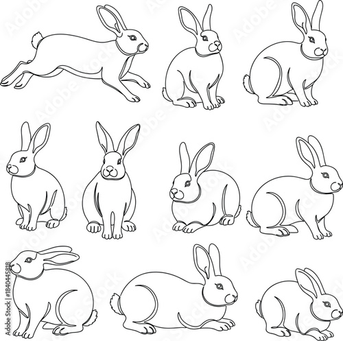 Rabbit silhouette collection in various poses, sitting, crouching, leaping, laying down, animal motion reference for design, flat vector