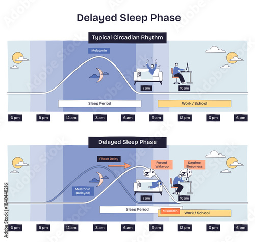 Delayed sleep phase visual shows melatonin curve, bed, and desk timeline to explain late sleep, forced wake-up, and daytime fatigue mismatch with work or school, transparent background.
