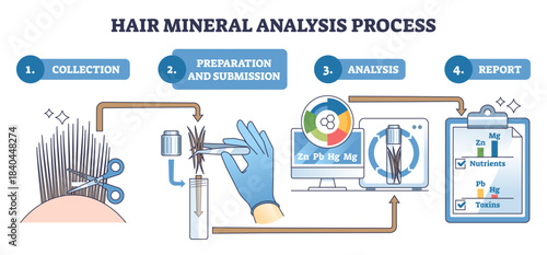 Hair mineral analysis workflow illustrating step-by-step from collection to lab testing and report, scissors, test tube, clipboard guide nutrients vs toxins results, transparent background.