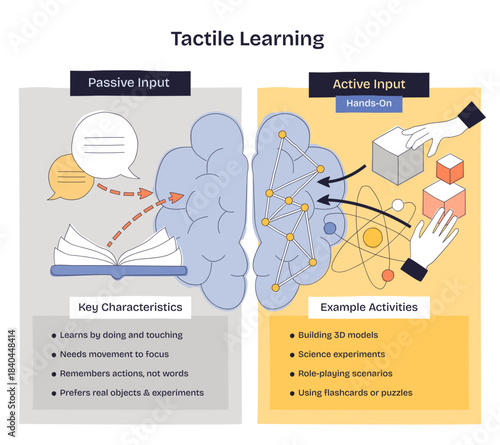 Tactile learning brief shows how hands-on input beats passive reading brain, hands, and blocks illustrate active engagement for memory and focus, transparent background. Doodle style diagram