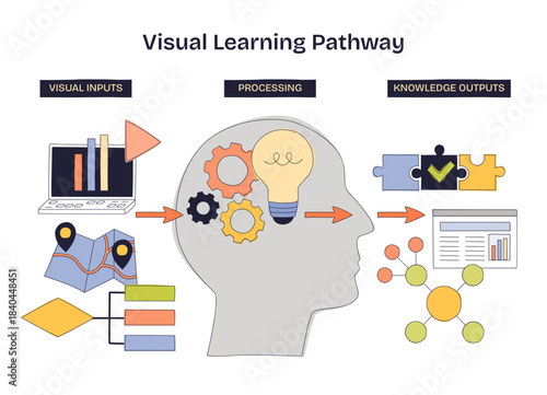 Visual learning pathway shows inputs processed into knowledge outputs, head with gears and lightbulb, arrows connect charts to results, illustrating concept-to-knowledge flow, transparent background.
