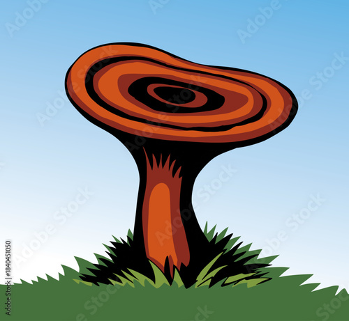 Vector drawing. Saffron milk cap mushroom