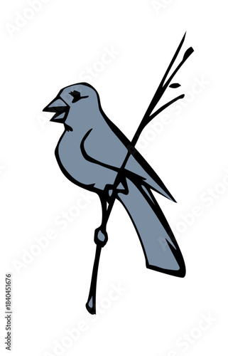 Vector drawing. Tit on white sky backdrop.