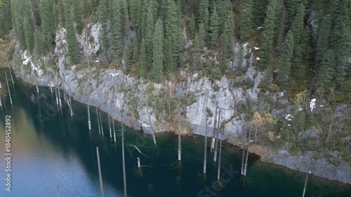 Aerial view captures a tranquil lake surrounded by dense forest, showcasing submerged trees and rocky shoreline, as the camera pans smoothly to reveal the serene natural beauty