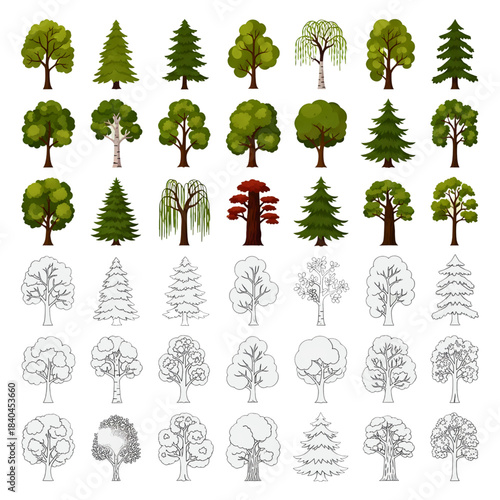 Collection of various tree types including deciduous conifers and stylized outlines for landscape design nature illustration and botanical projects