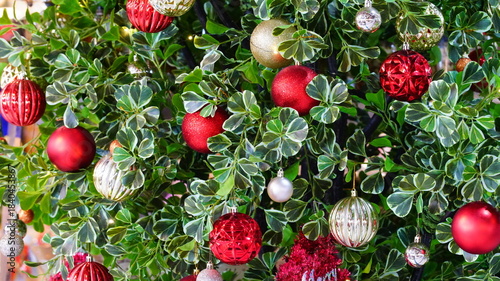 Christmas decorations on the tree