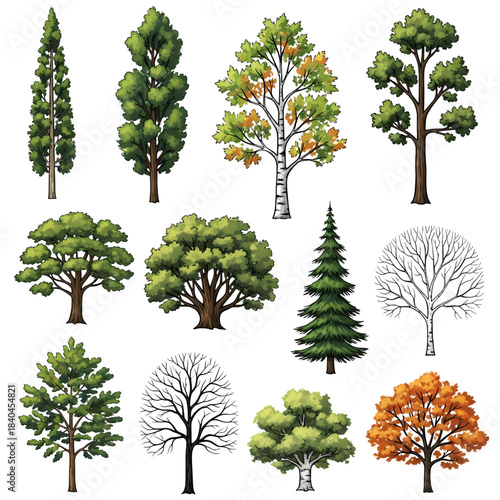 Collection of twelve distinct tree illustrations showing various species seasonal changes and detailed botanical outlines