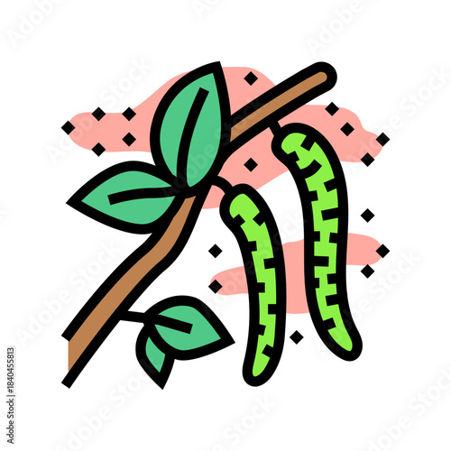 catkin tree branch releasing pollen color icon vector illustration