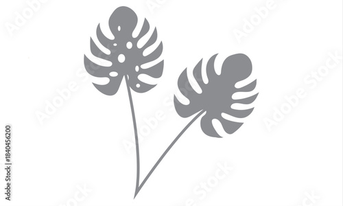 Monstera leaf shadow overlay on white background. Soft blurred shadow of monstera leaves cast on a white background, perfect for natural overlays, modern layouts, and subtle design accents.

