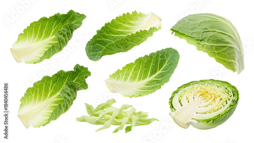 Fresh green cabbage leaves and sliced cabbage pieces arranged on a transparent background
