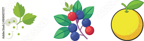 WebSet of Bright, Fun, and Vibrant Cartoon Fruit Icons: Vector Illustrations of Apple, Raspberry, Banana, Cherry, Carambola, Strawberry, and Exotic Tropical Berries and Produce