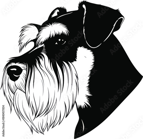Schnauzer Dog Head Portrait Illustration Vector