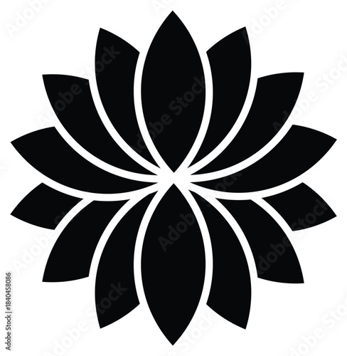 Water Lily or Lotus illustration design 