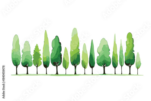 A vibrant green deciduous tree with a full canopy stands isolated on a clean white background