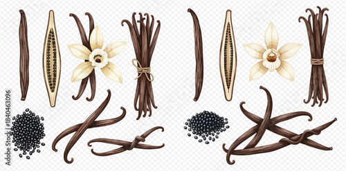 Realistic vanilla pods, flowers, and seeds set on transparent background for culinary and aromatic uses.