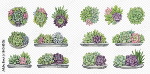 Collection of vibrant watercolor succulent plants in various arrangements and pots, perfect for decorative designs.