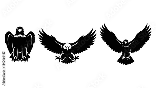 Stunning collection of aggressive black eagle silhouettes perfect for powerful logo design and heraldry projects