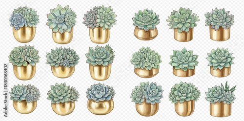 Watercolor collection of various succulent plants in elegant golden pots, perfect for decorative designs.