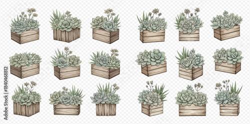 Collection of watercolor illustrations featuring various succulent plants in rustic wooden boxes, perfect for decorative designs.