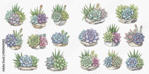Collection of watercolor succulent plants in pots, featuring various shapes, colors, and arrangements, ideal for decorative designs.