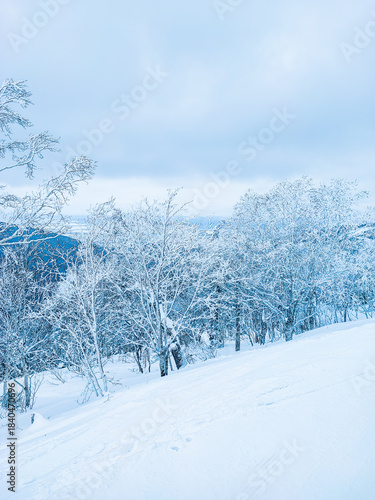 A fantastically beautiful landscape of a winter forest covered with frost and snow