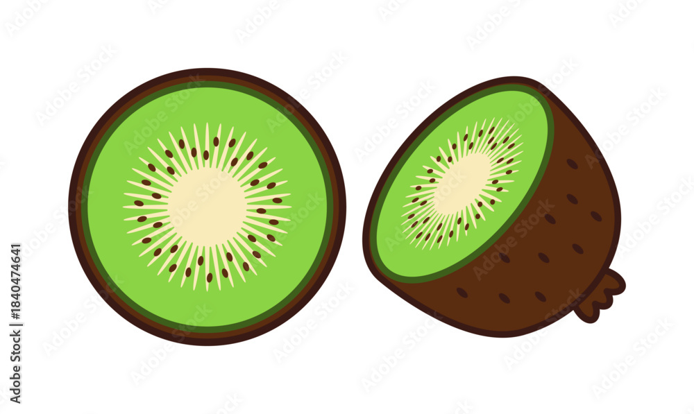 Obraz premium Hand-Drawn Kiwi Fruit Vector Bundle – Simple Fresh Tropical Fruit Illustration Set for Food, Organic Market, and Healthy Lifestyle Design