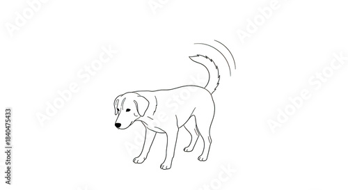 White outline dog on black background wagging tail