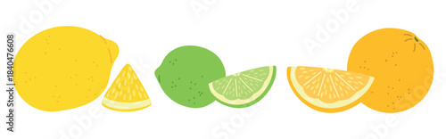 Citrus fruit assortment. Fresh lemon whole and sliced. Lime and orange pieces. Juicy tangerine. Natural cooking ingredient. Sour juice. Healthy vitamin food. Vector isolated elements set